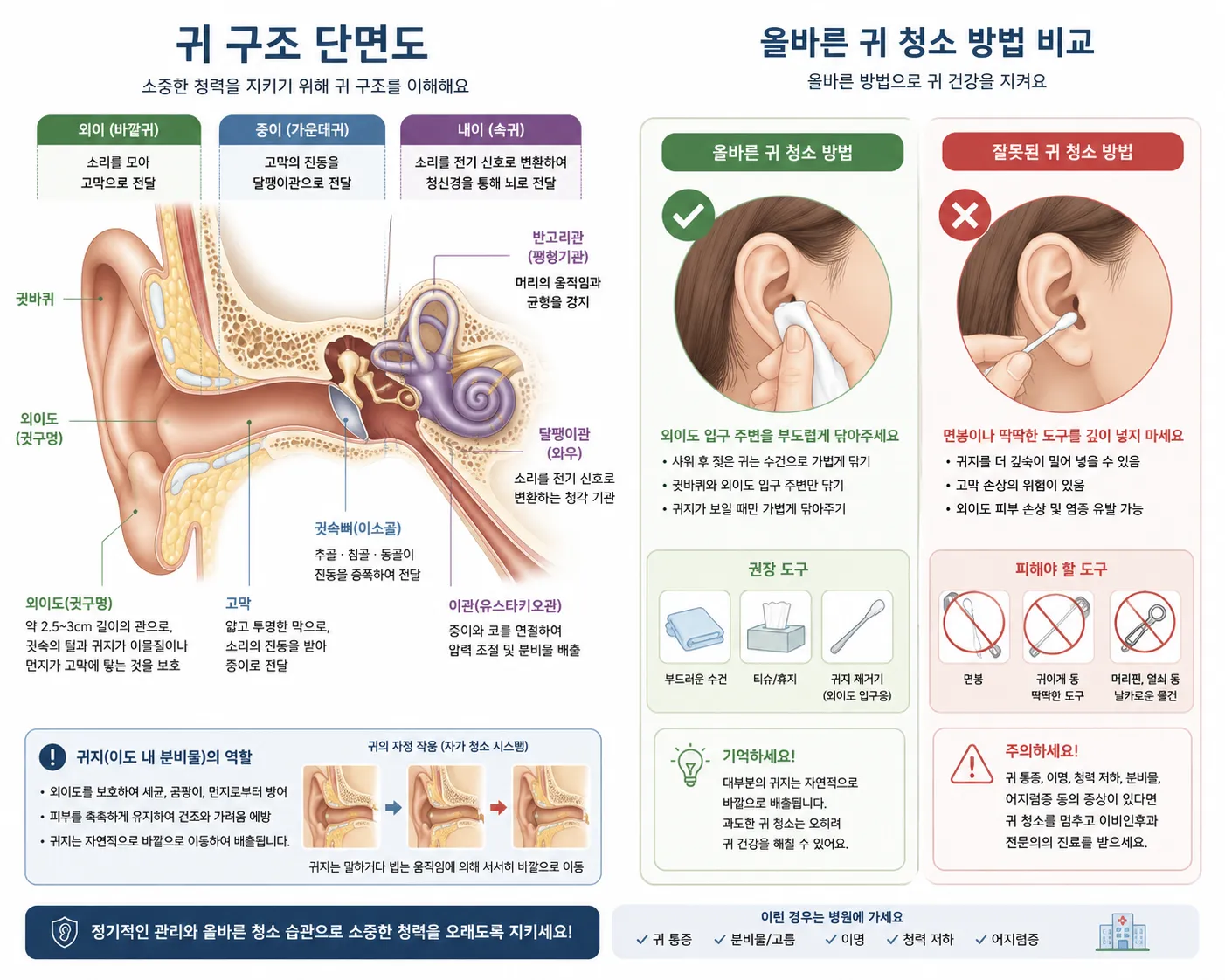 귀 구조 단면도와 올바른 귀 청소 방법 비교 일러스트 — 이비인후과 교육용 이미지