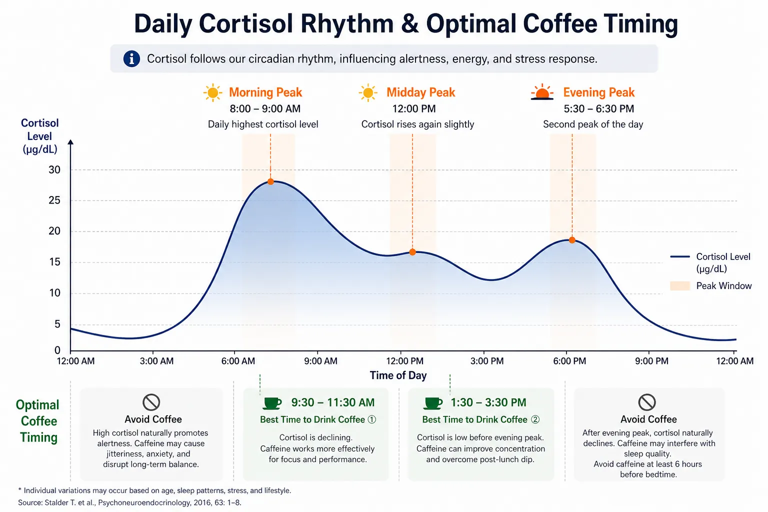 Cortisol rhythm and optimal coffee timing graph showing peaks at 8-9 AM, noon, and 5:30-6:30 PM with optimal coffee windows between peaks, clean modern scientific illustration with teal accents