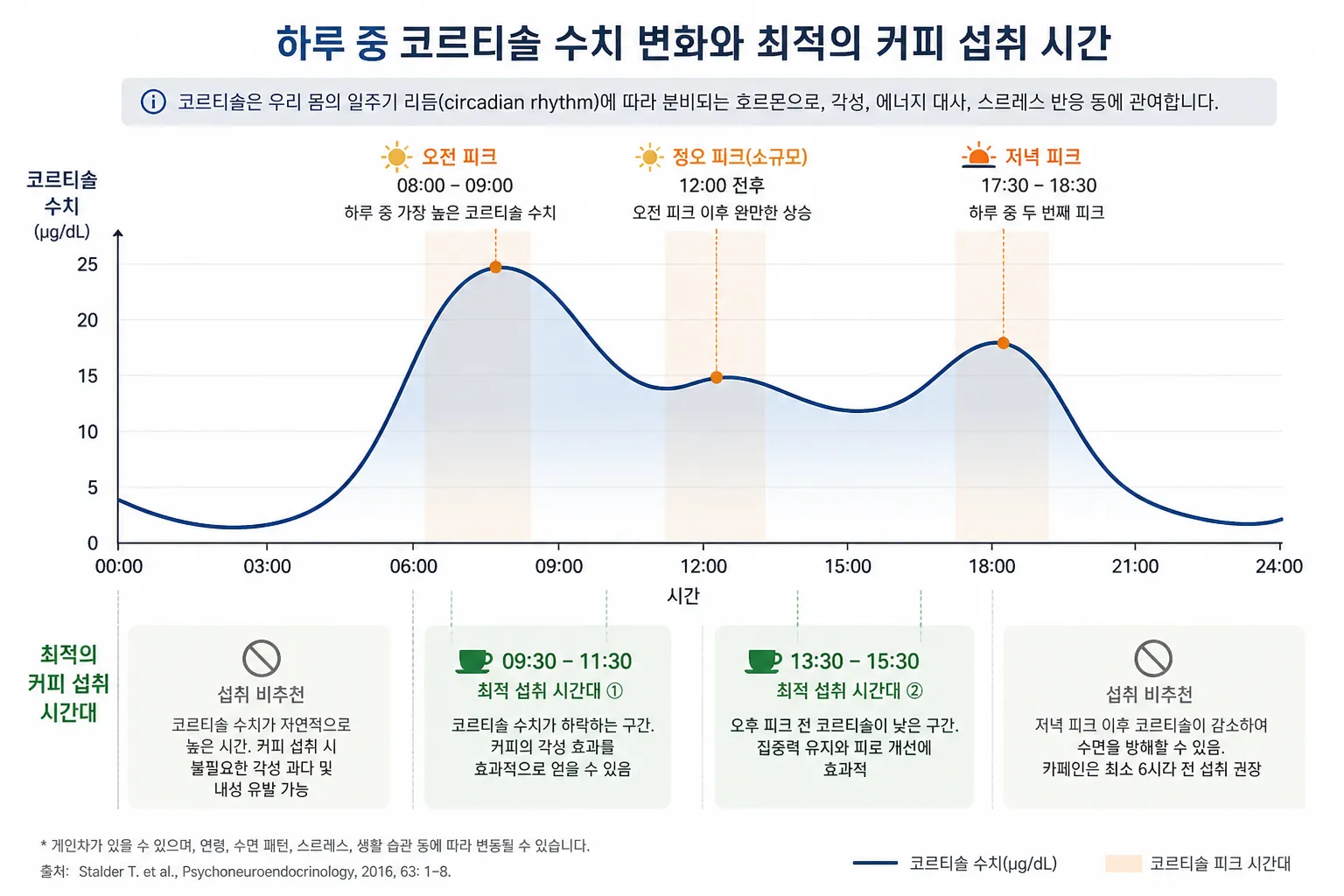 하루 중 코르티솔 수치 변화를 나타낸 과학적 일러스트 그래프 - 오전 8-9시, 정오, 오후 5:30-6:30 피크 타임과 최적의 커피 섭취 시간대 표시