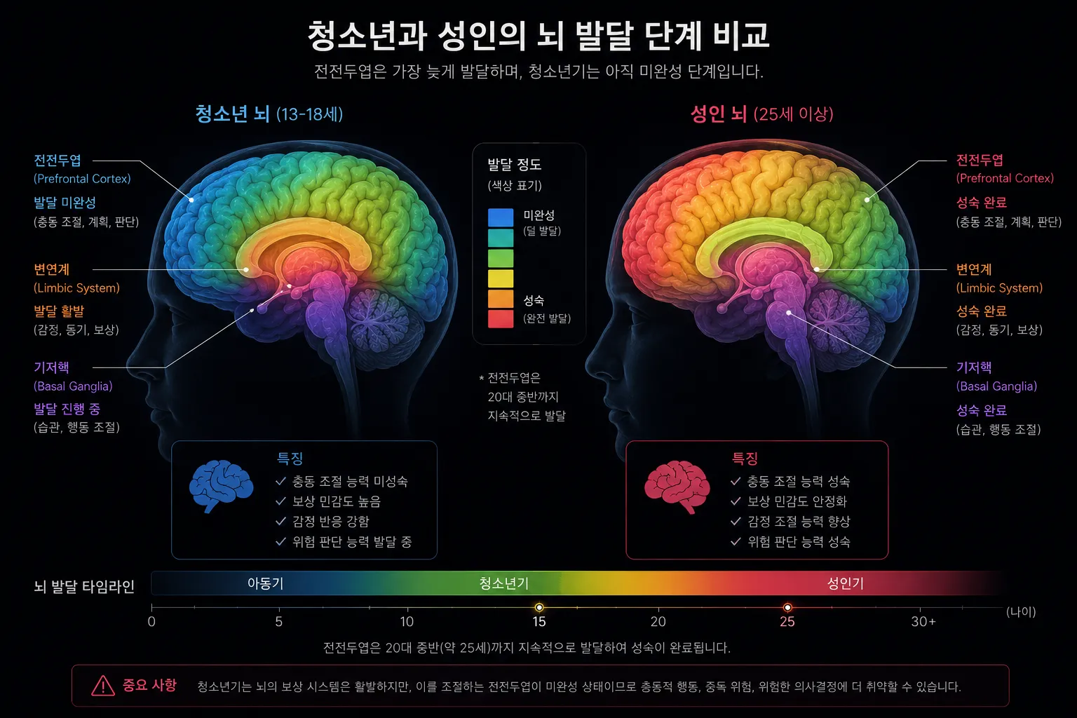 청소년과 성인의 전전두엽 발달 단계 비교 일러스트 — 10대 청소년 뇌에서 전전두엽 미성숙 영역이 오렌지색으로 강조된 신경발달 비교 도식