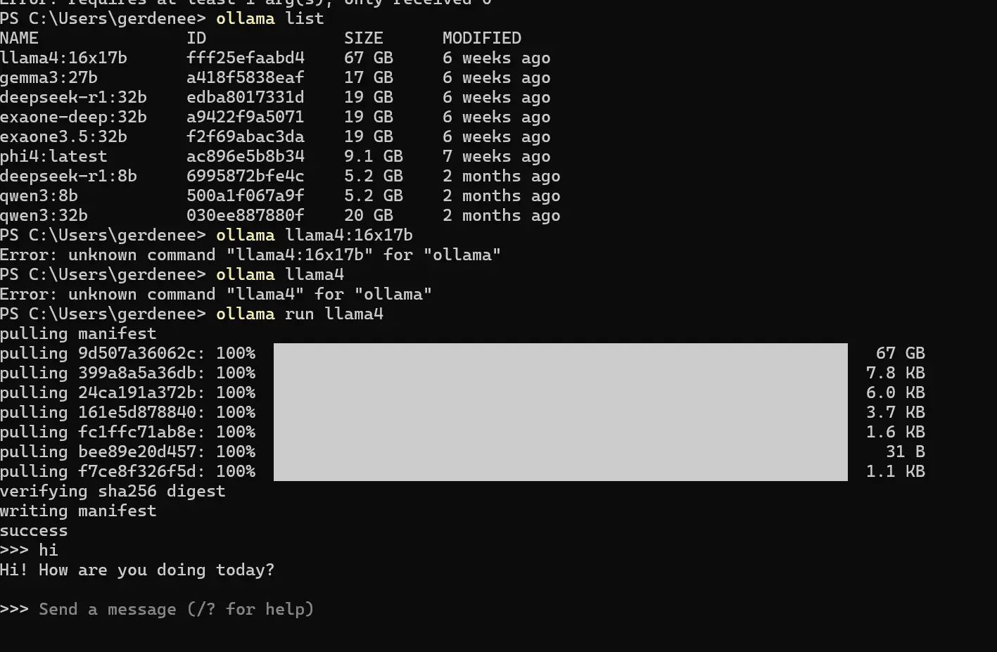 Running Ollama from the terminal and chatting with the Llama 3 model
