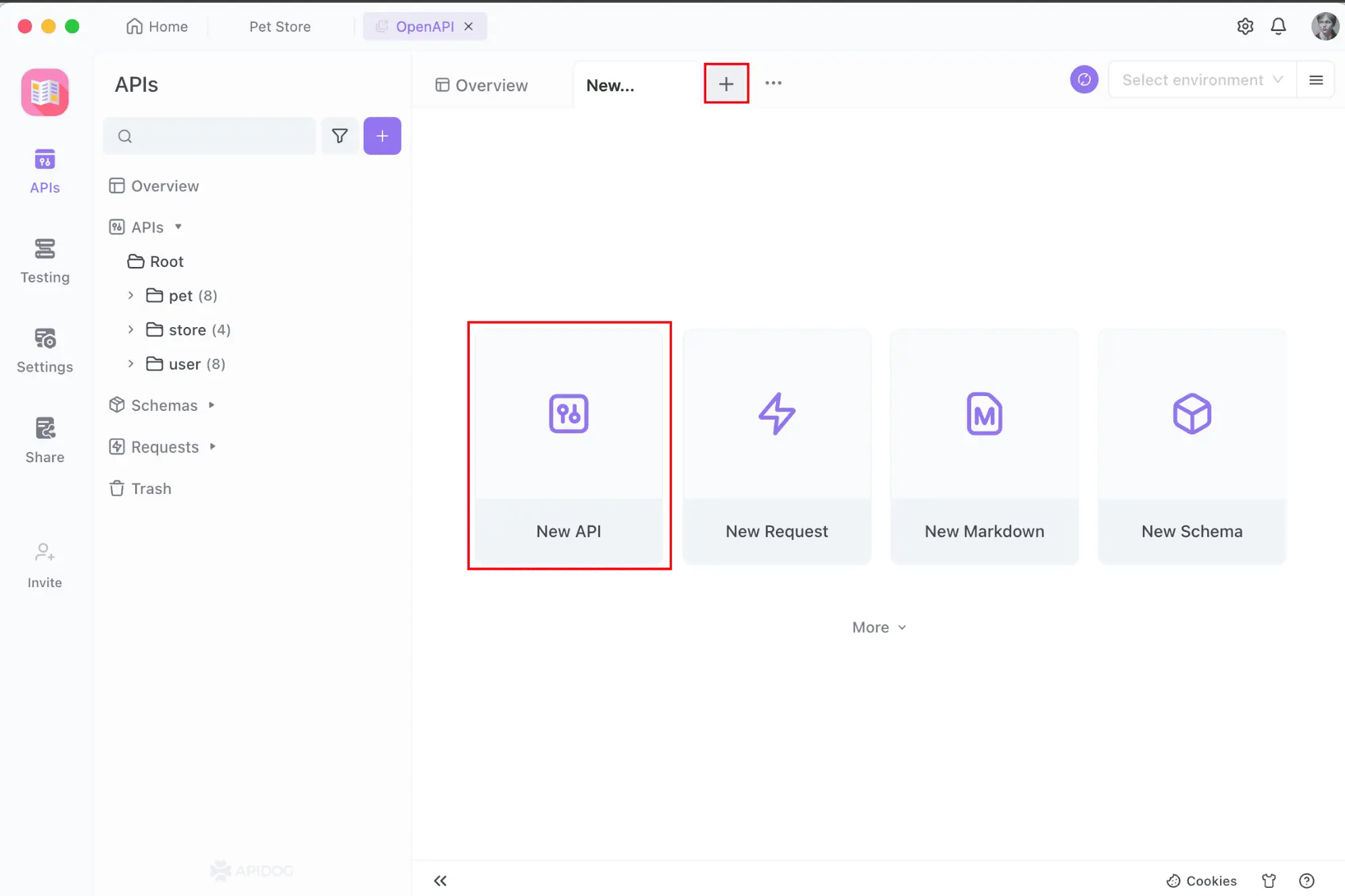 APIdog endpoint design: Path input, Method dropdown, JSON Schema builder detailed screenshot.